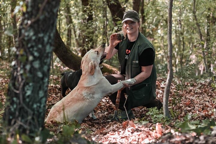 Truffle hunter with her dogs in the Istrian forest