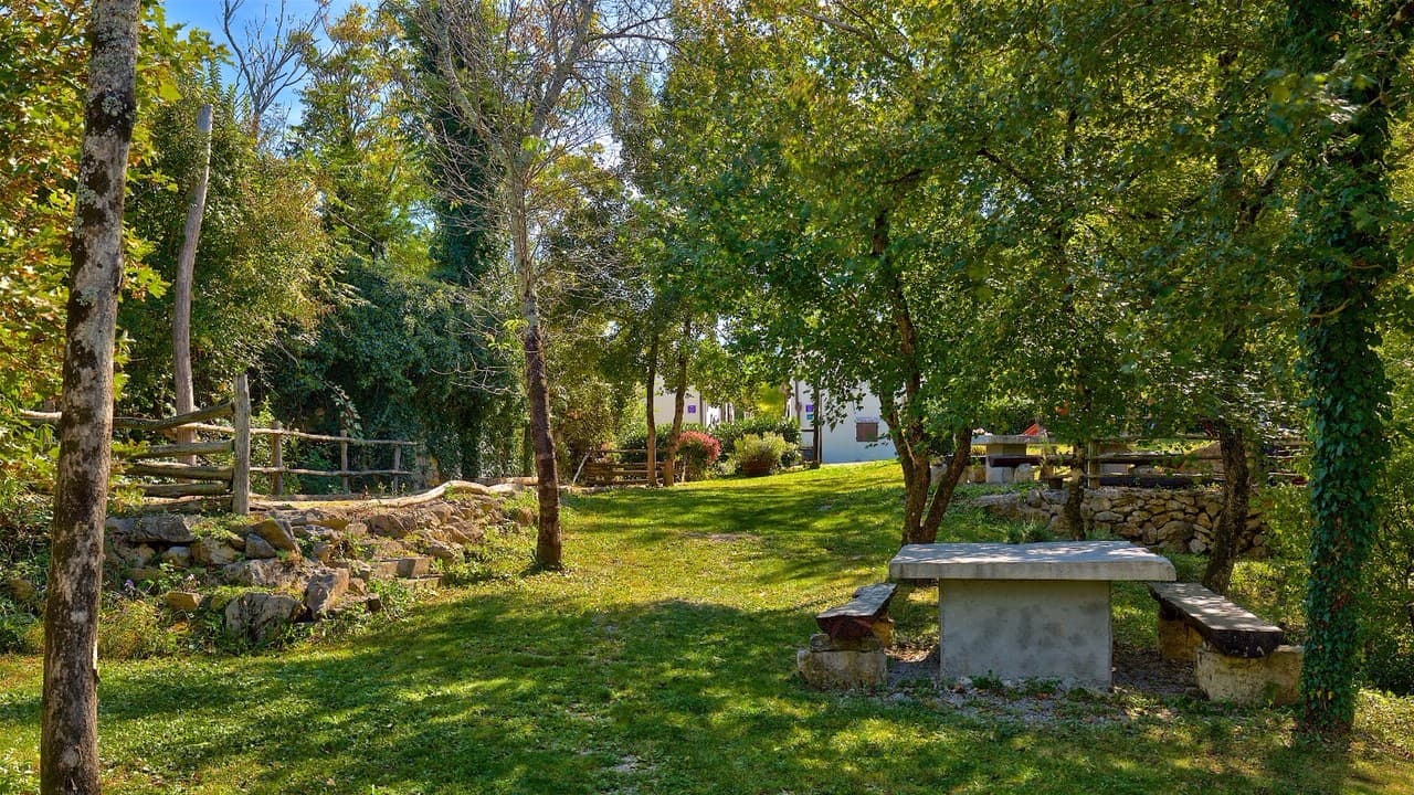Kotli